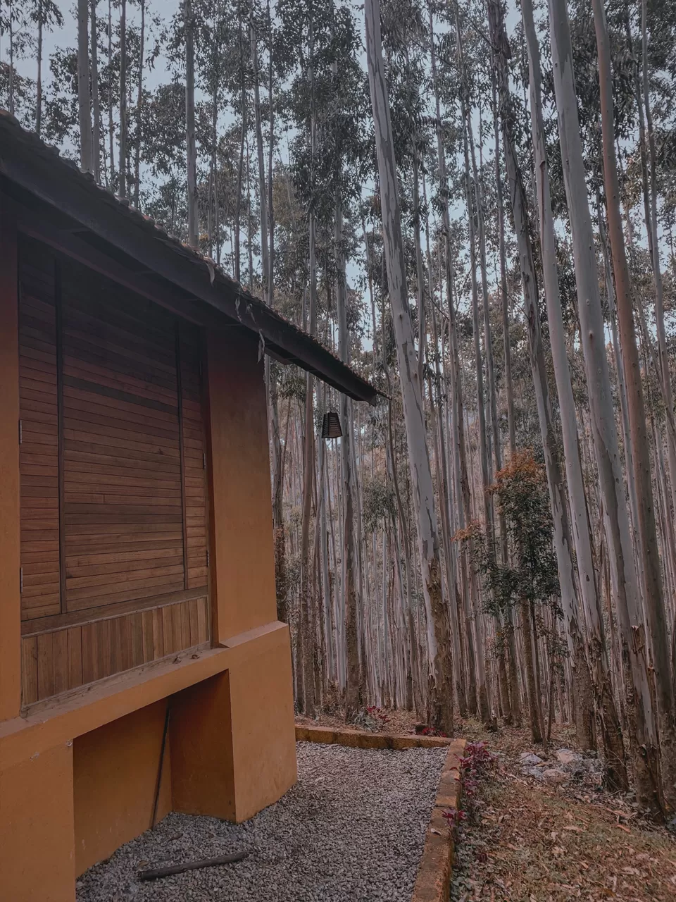 Photo of Sahari Mariental Resort, Vattavada, Kerala, India by Cloudwalker!