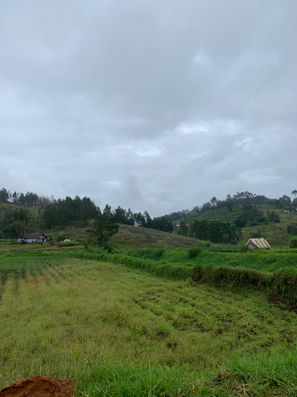 Photo of Kookal - Poombarai Road, Kookal, Tamil Nadu, India by Cloudwalker!