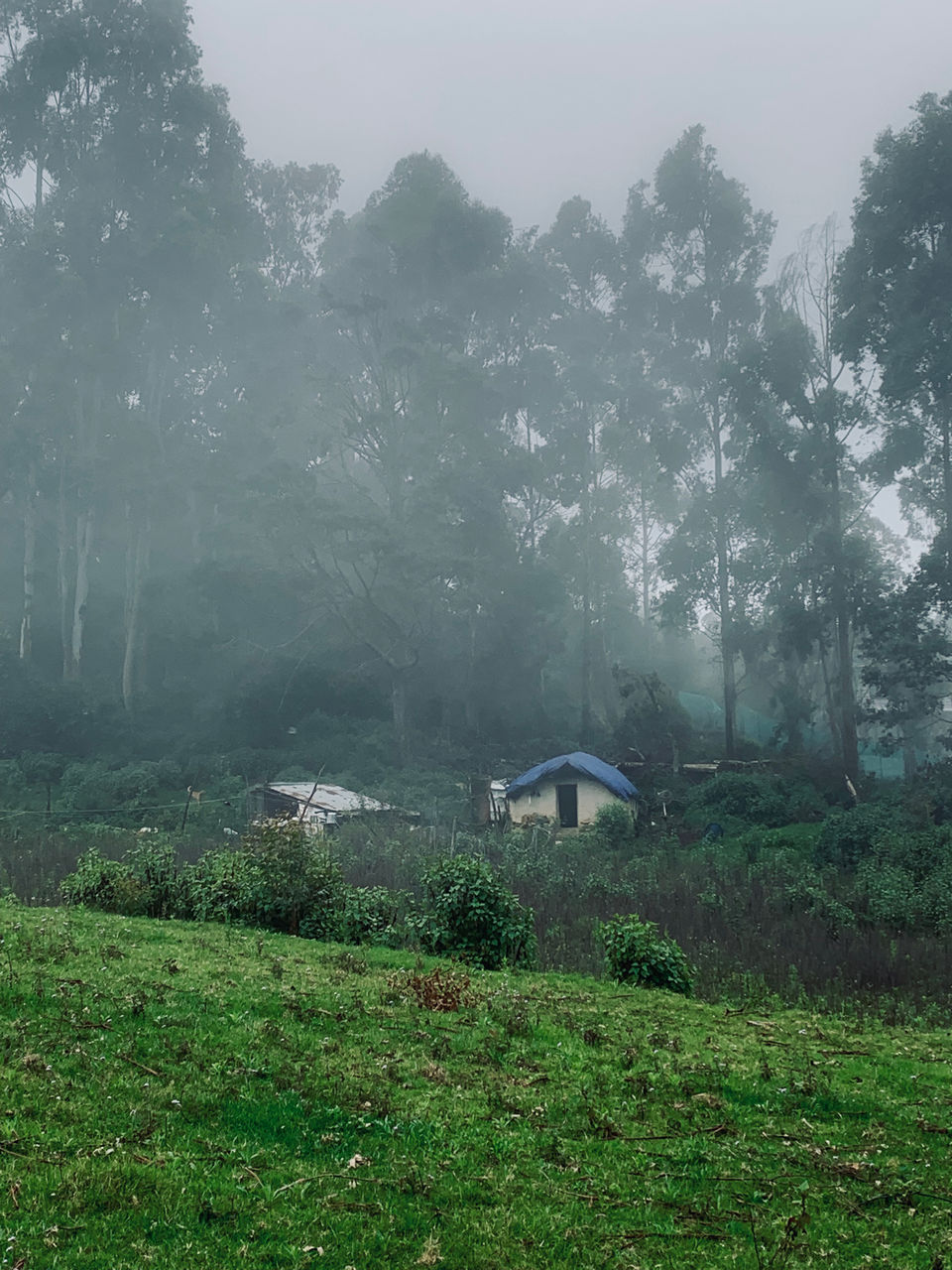 Photo of Kookal - Poombarai Road, Kookal, Tamil Nadu, India by Cloudwalker!