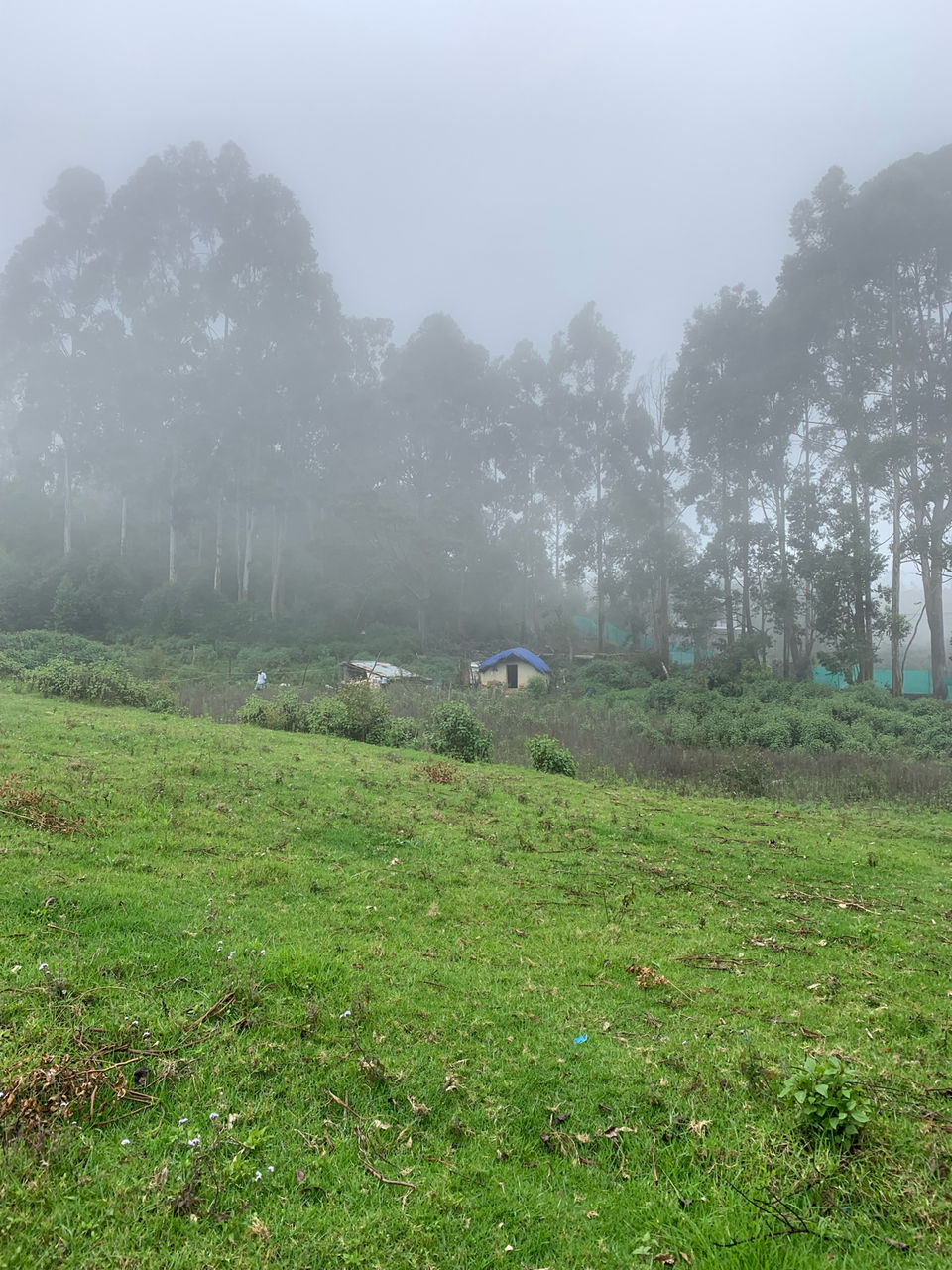 Photo of Kookal - Poombarai Road, Kookal, Tamil Nadu, India by Cloudwalker!