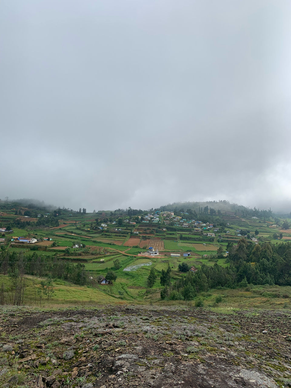 Photo of Kookal - Poombarai Road, Kookal, Tamil Nadu, India by Cloudwalker!