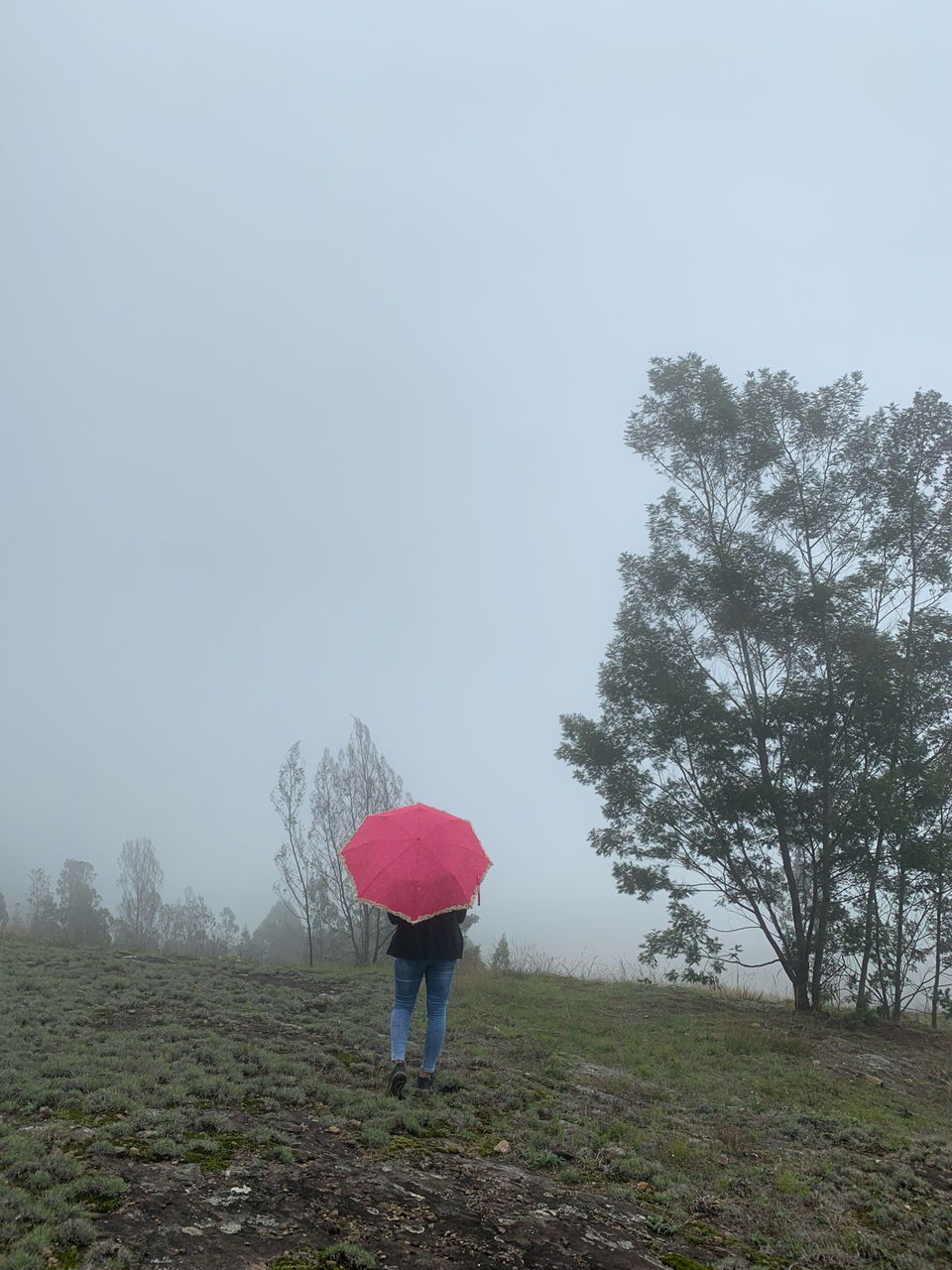 Photo of Kookal - Poombarai Road, Kookal, Tamil Nadu, India by Cloudwalker!