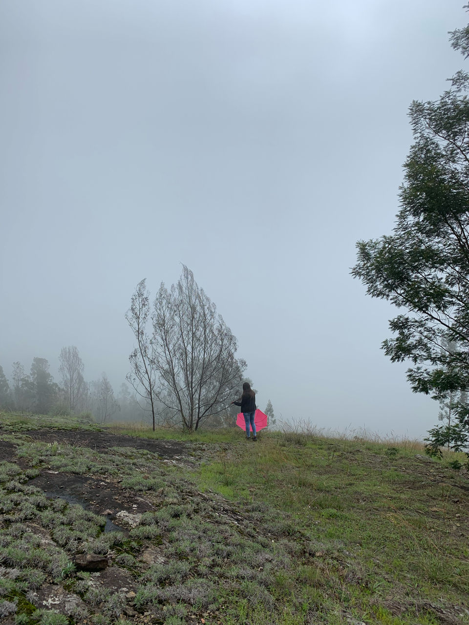 Photo of Kookal - Poombarai Road, Kookal, Tamil Nadu, India by Cloudwalker!