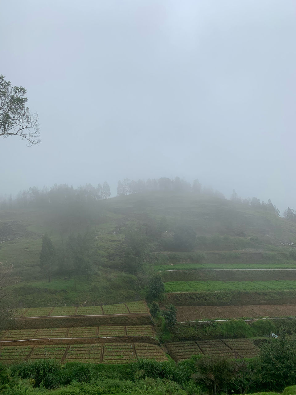 Photo of Kookal - Poombarai Road, Kookal, Tamil Nadu, India by Cloudwalker!