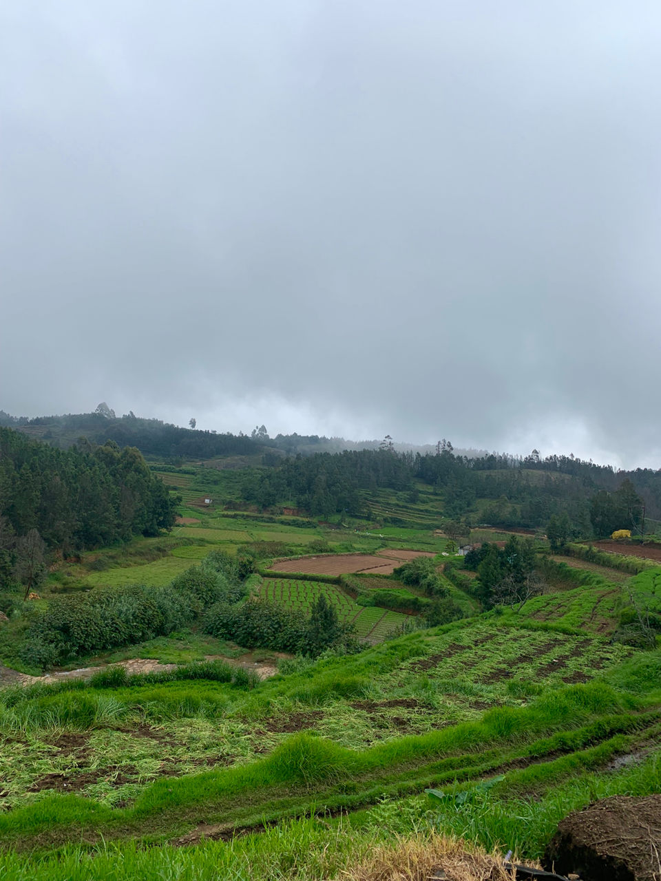 Photo of Kookal - Poombarai Road, Kookal, Tamil Nadu, India by Cloudwalker!
