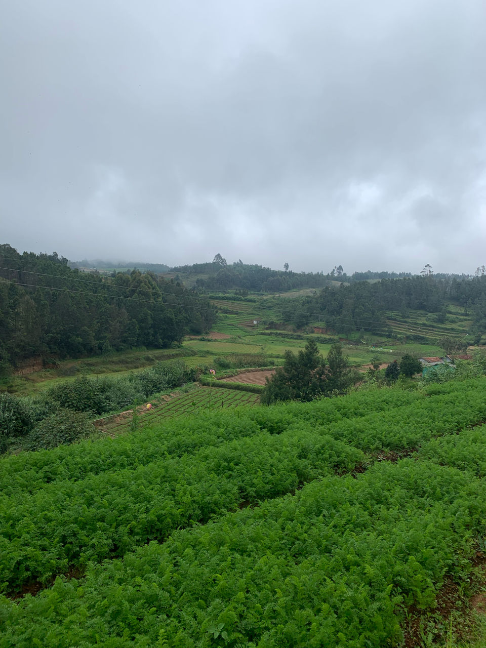 Photo of Kookal - Poombarai Road, Kookal, Tamil Nadu, India by Cloudwalker!