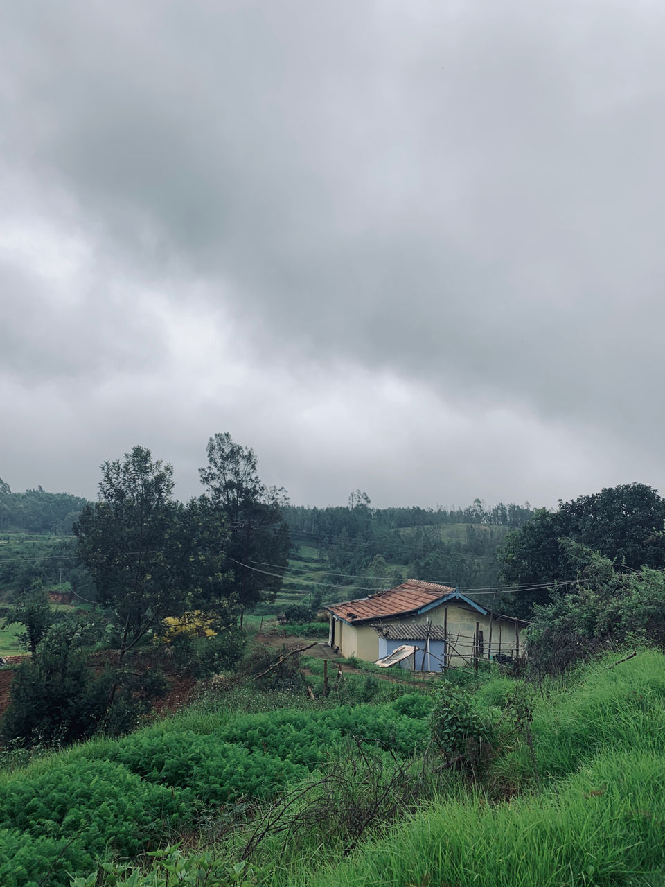 Photo of Kookal - Poombarai Road, Kookal, Tamil Nadu, India by Cloudwalker!