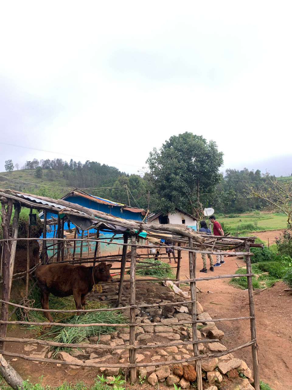Photo of Kookal - Poombarai Road, Kookal, Tamil Nadu, India by Cloudwalker!