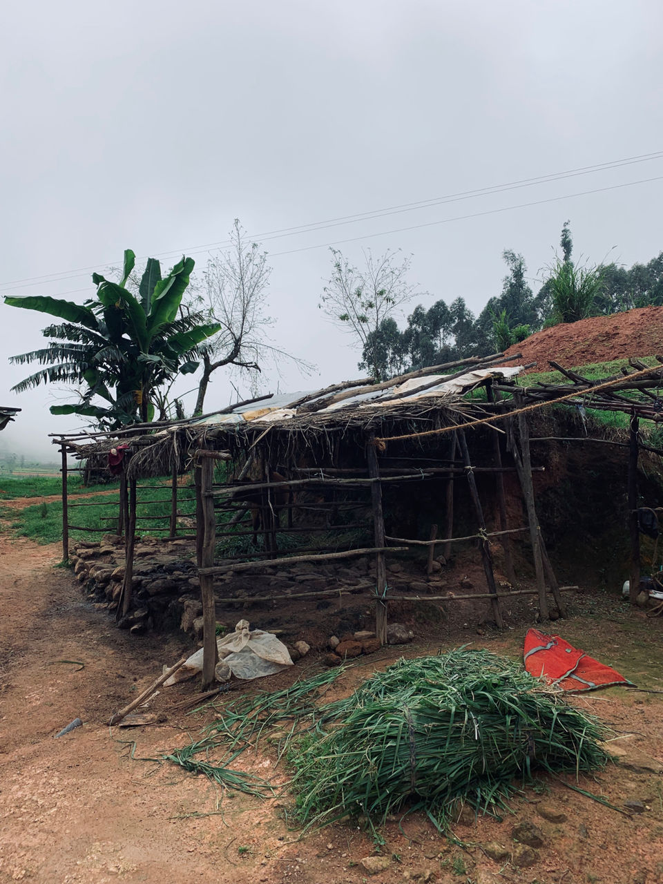 Photo of Kookal - Poombarai Road, Kookal, Tamil Nadu, India by Cloudwalker!