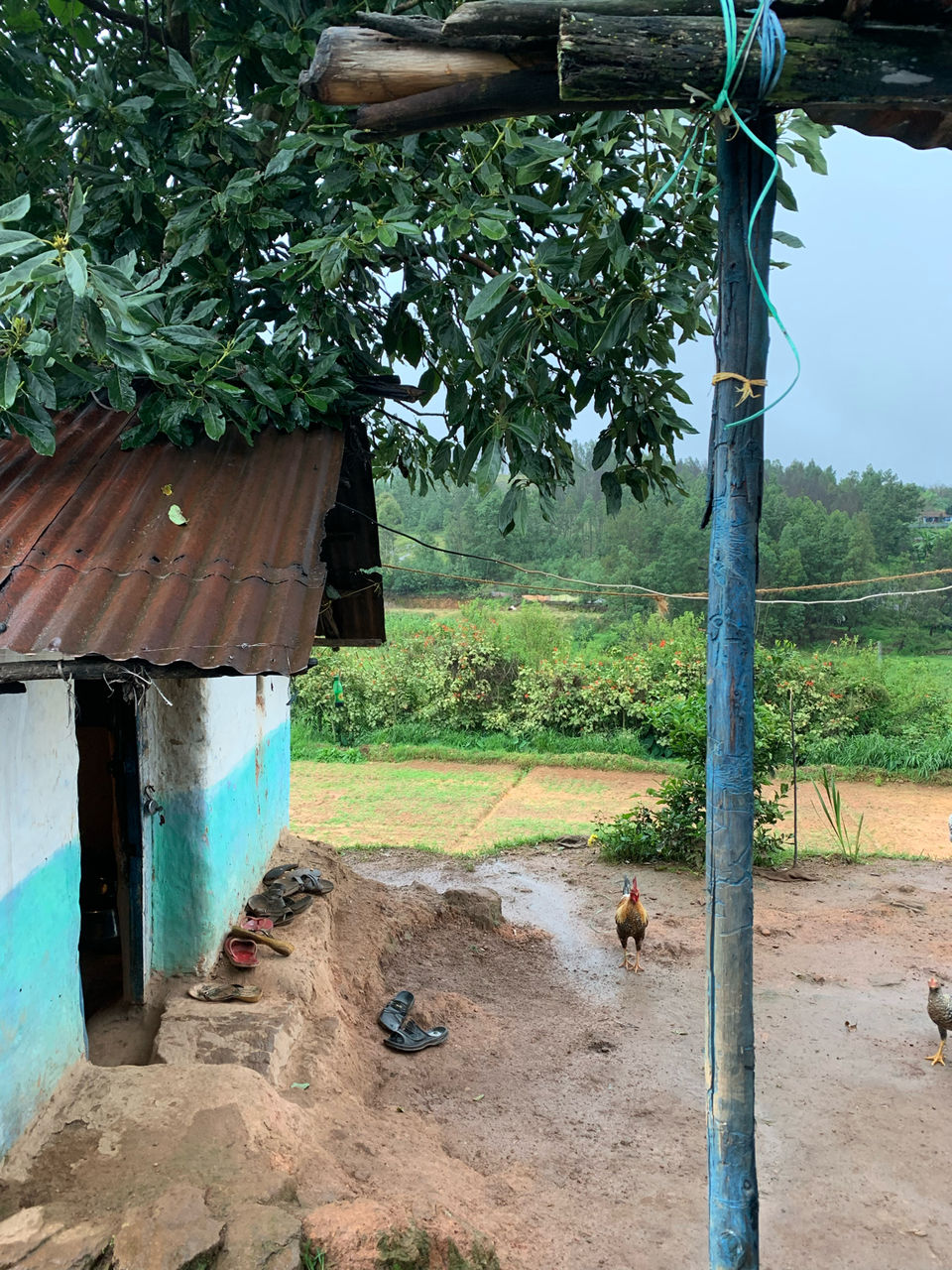 Photo of Kookal - Poombarai Road, Kookal, Tamil Nadu, India by Cloudwalker!