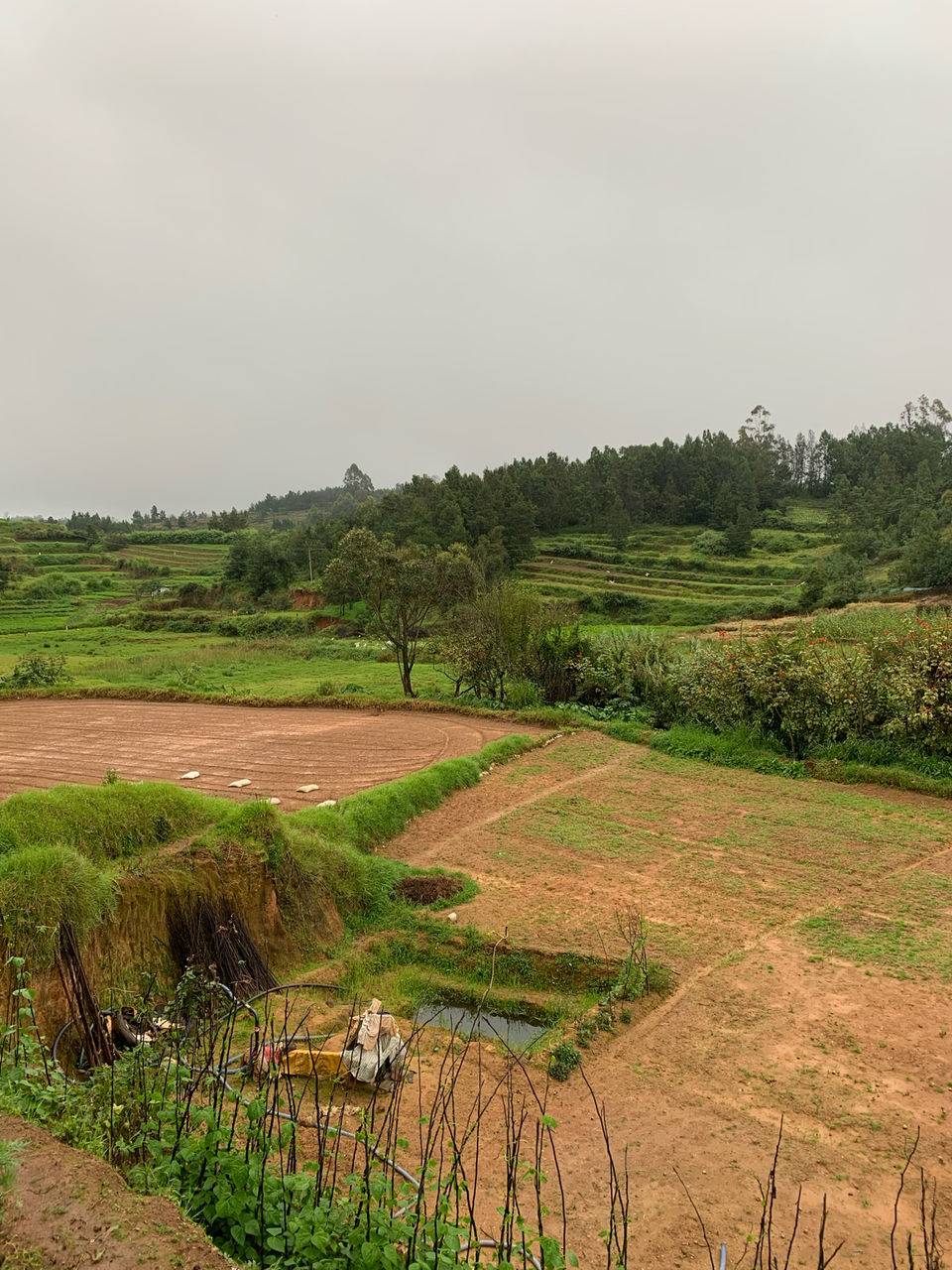 Photo of Kookal - Poombarai Road, Kookal, Tamil Nadu, India by Cloudwalker!
