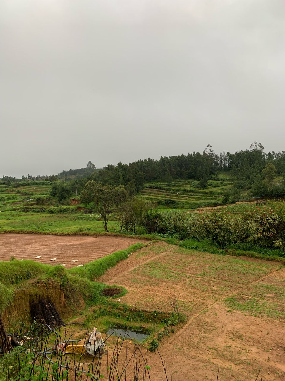 Photo of Kookal - Poombarai Road, Kookal, Tamil Nadu, India by Cloudwalker!