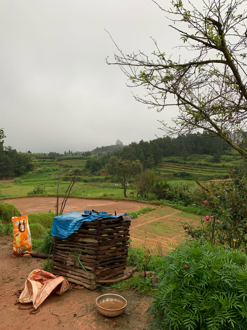 Photo of Kookal - Poombarai Road, Kookal, Tamil Nadu, India by Cloudwalker!