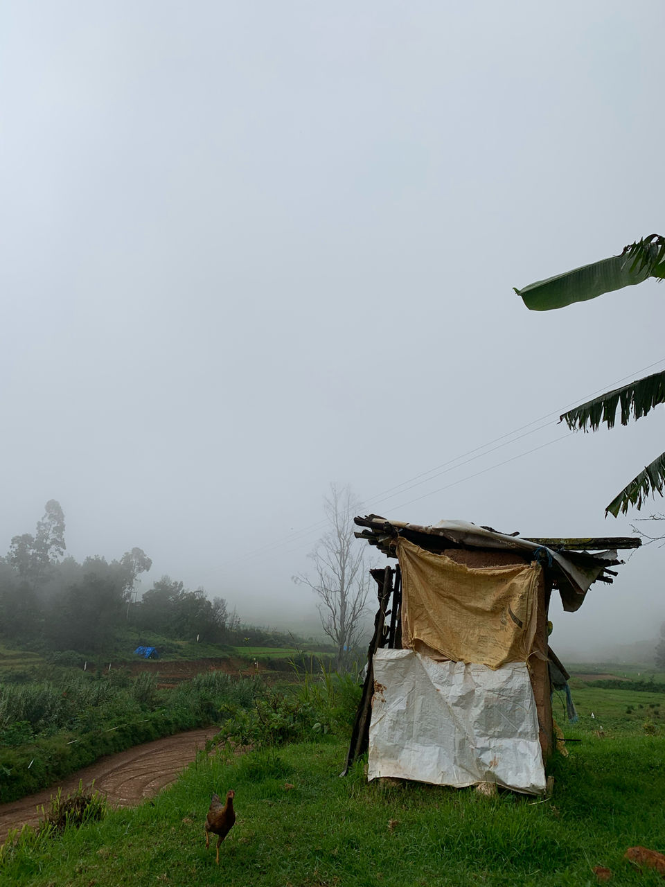 Photo of Kookal - Poombarai Road, Kookal, Tamil Nadu, India by Cloudwalker!