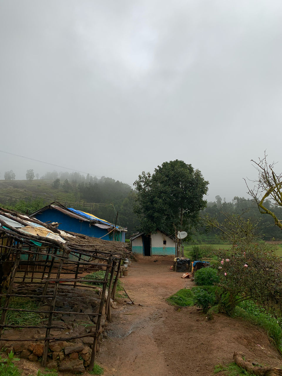 Photo of Kookal - Poombarai Road, Kookal, Tamil Nadu, India by Cloudwalker!