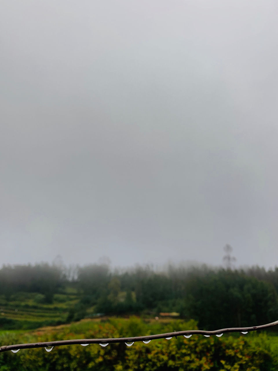 Photo of Kookal - Poombarai Road, Kookal, Tamil Nadu, India by Cloudwalker!