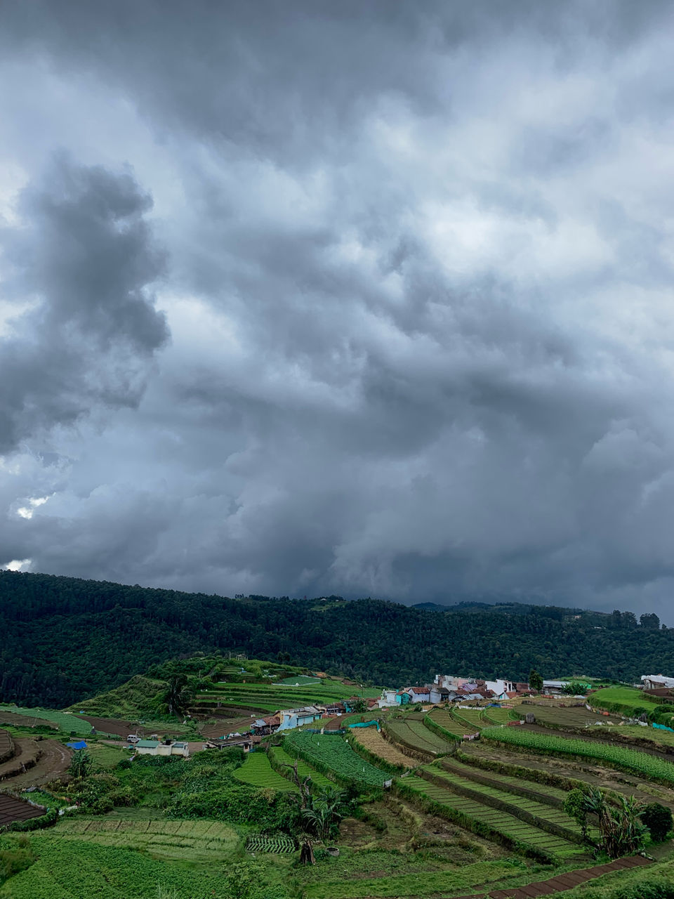 Photo of Kookal - Poombarai Road, Kookal, Tamil Nadu, India by Cloudwalker!