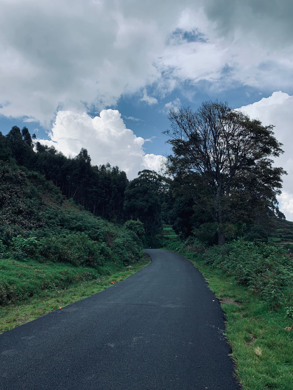 Photo of Kookal - Poombarai Road, Kookal, Tamil Nadu, India by Cloudwalker!