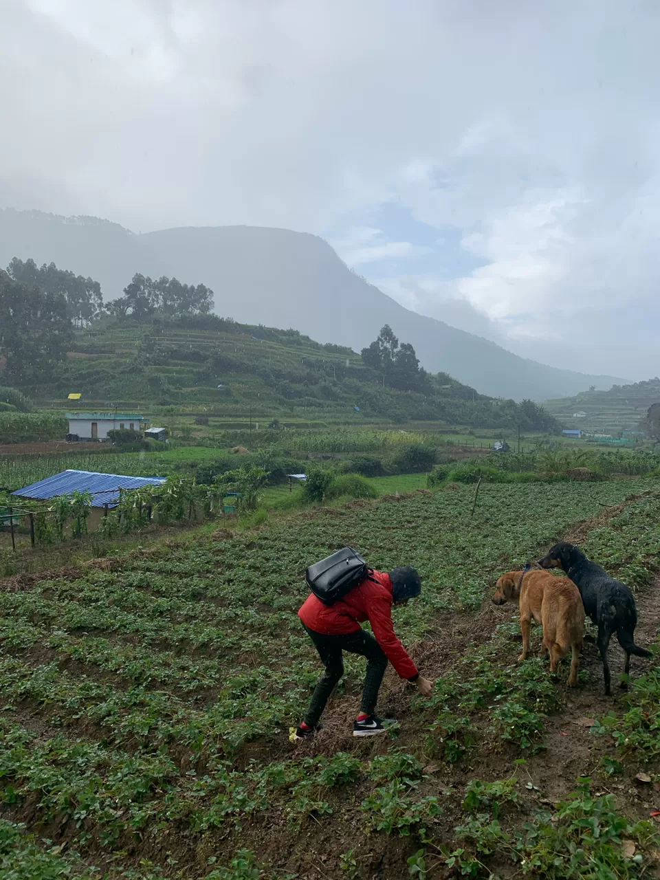 Photo of Vattavada, Vattavada, Kerala, India by Cloudwalker!