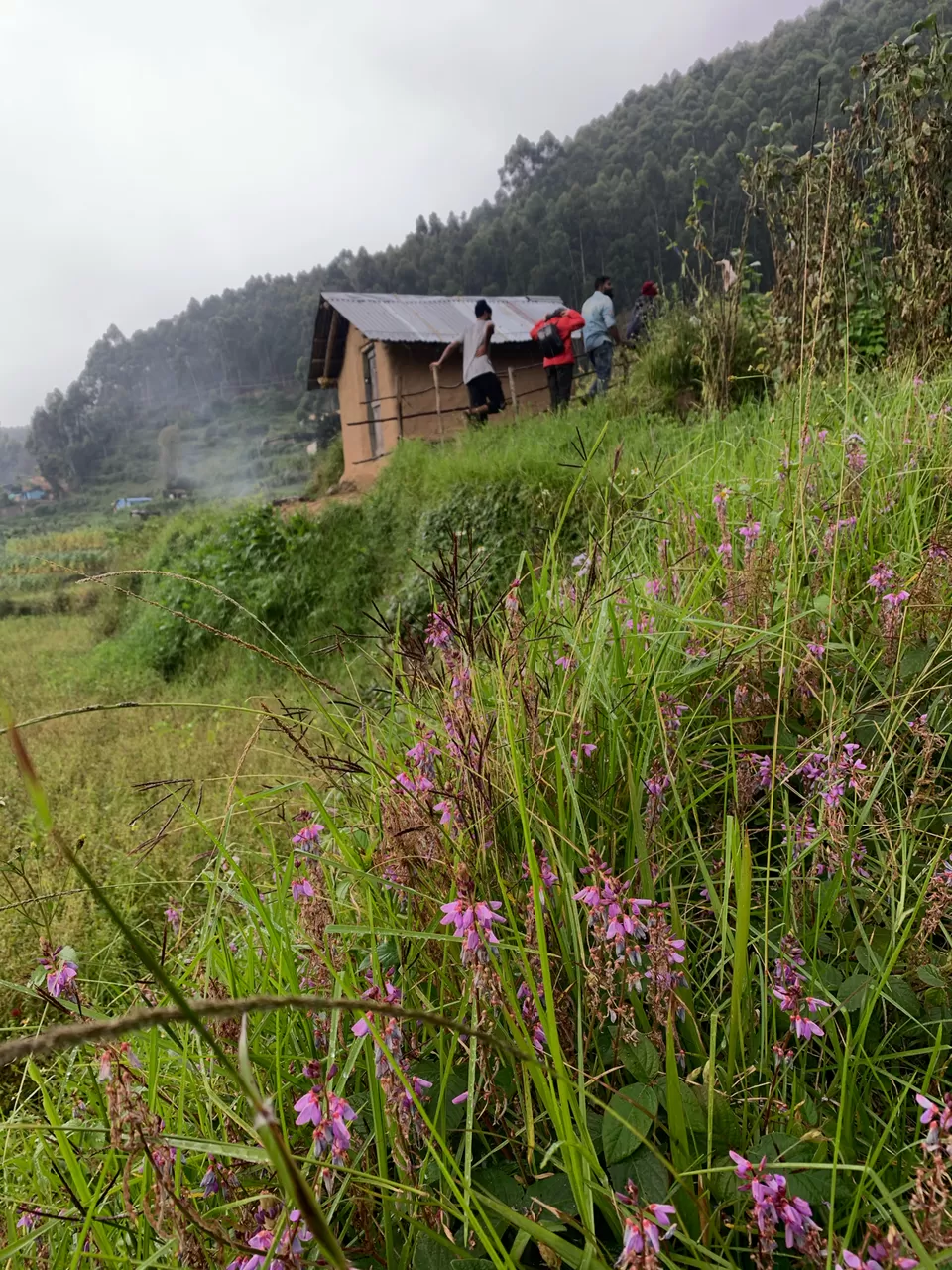 Photo of Vattavada, Vattavada, Kerala, India by Cloudwalker!