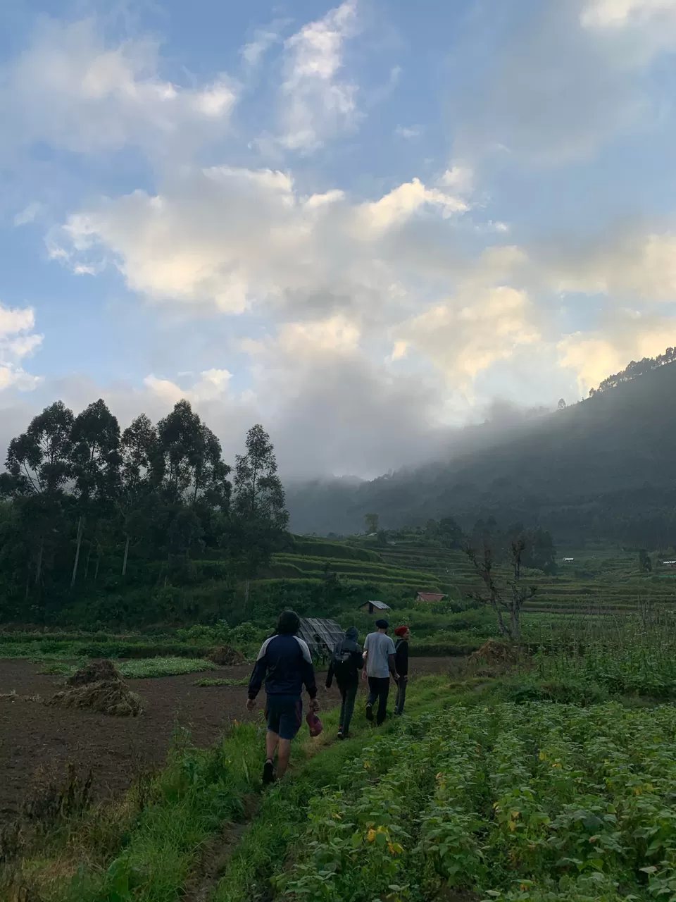 Photo of Vattavada, Vattavada, Kerala, India by Cloudwalker!