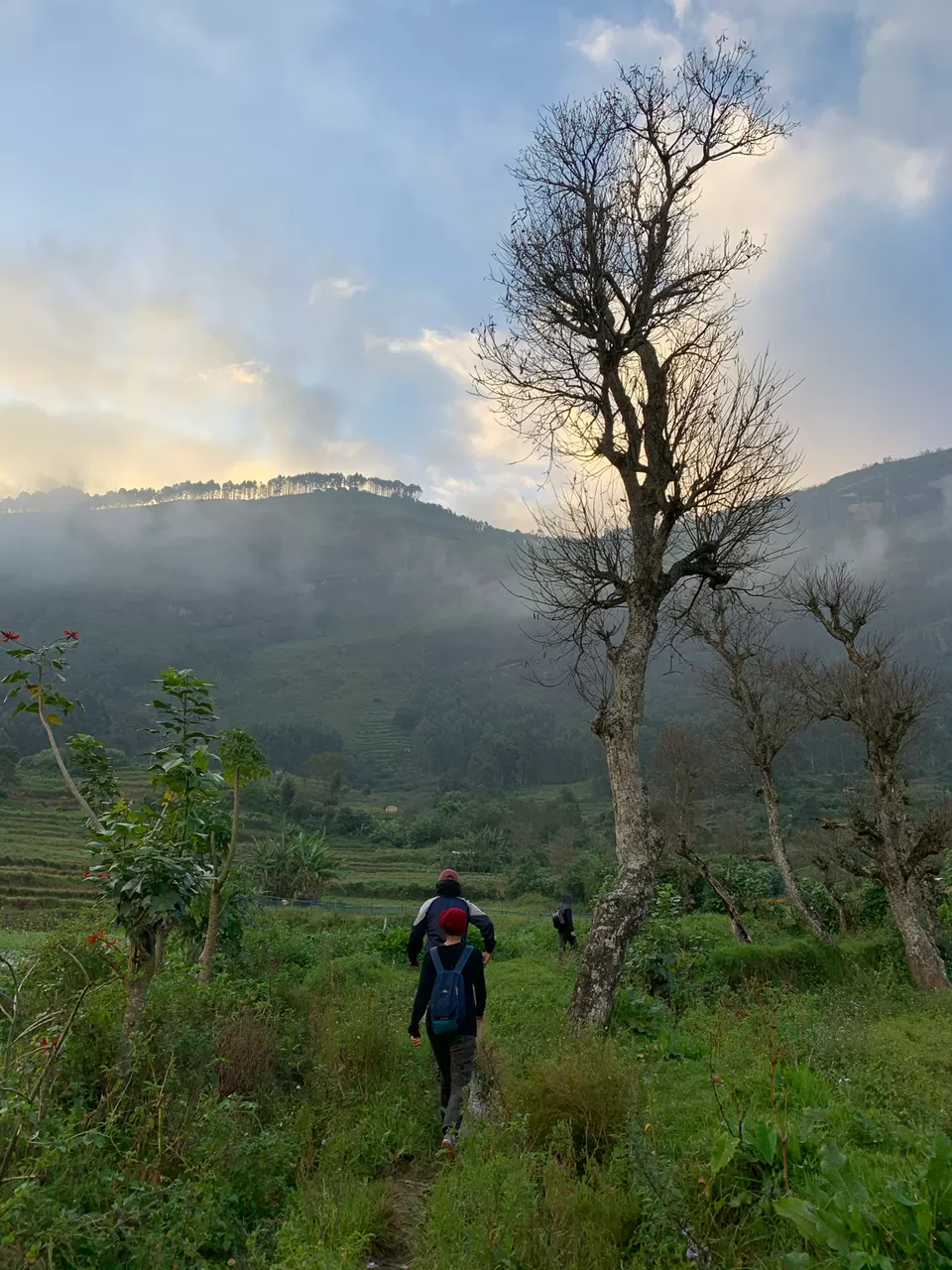 Photo of Vattavada, Vattavada, Kerala, India by Cloudwalker!