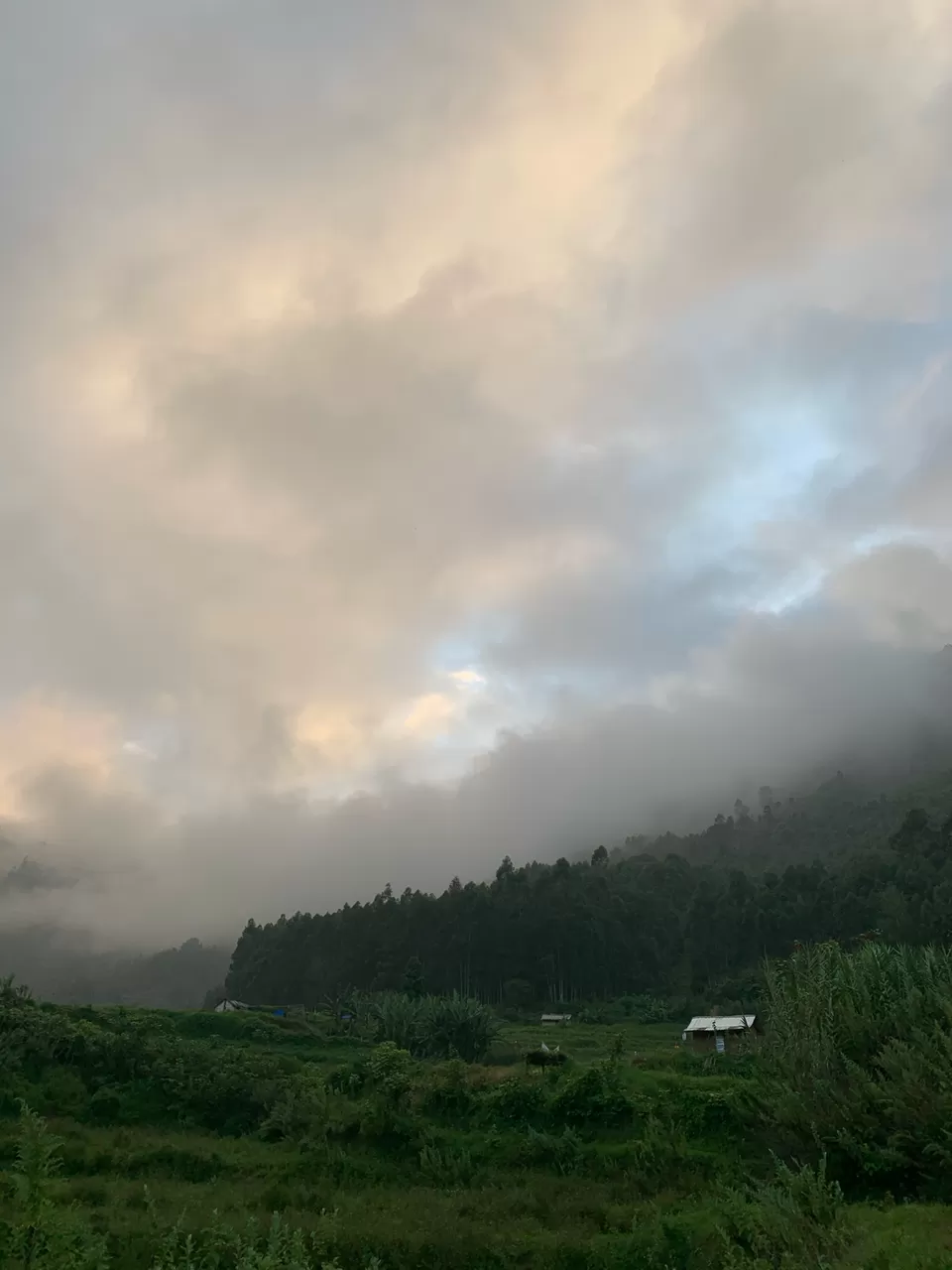 Photo of Vattavada, Vattavada, Kerala, India by Cloudwalker!