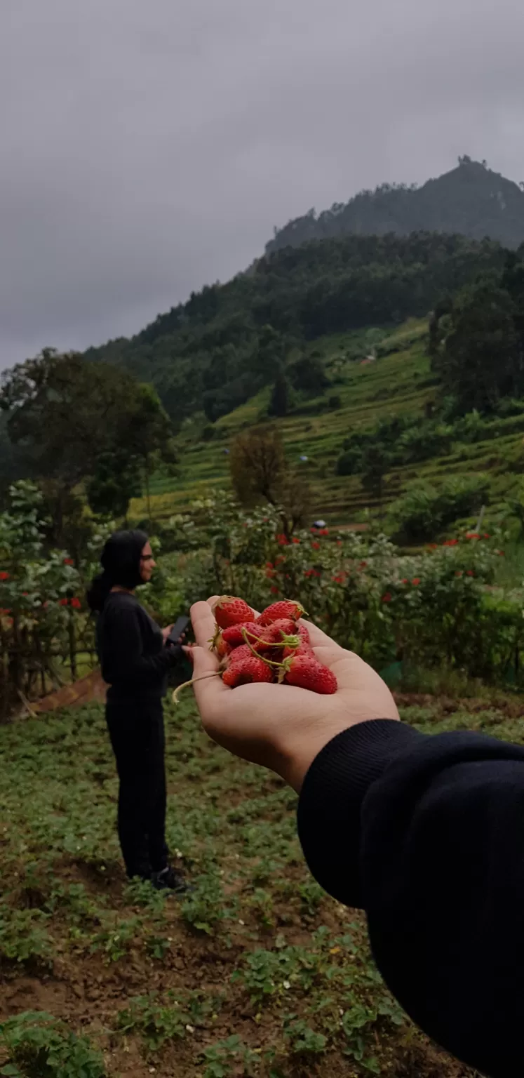 Photo of Vattavada, Vattavada, Kerala, India by Cloudwalker!