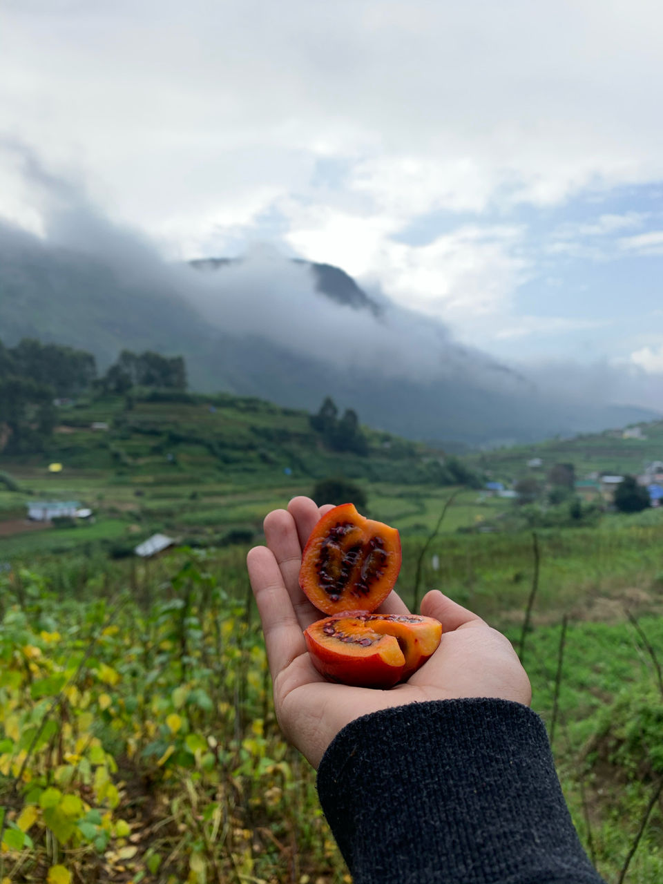 Photo of Wherever You Put Your Feet Is Home. Vattavada Is Home by Cloudwalker!