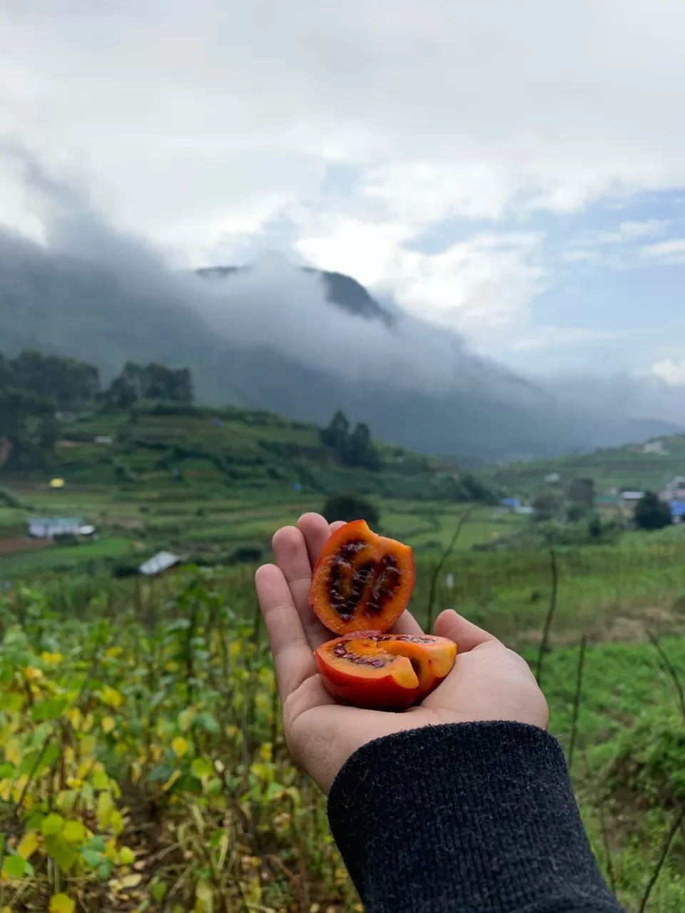 Photo of Wherever You Put Your Feet Is Home. Vattavada Is Home by Cloudwalker!