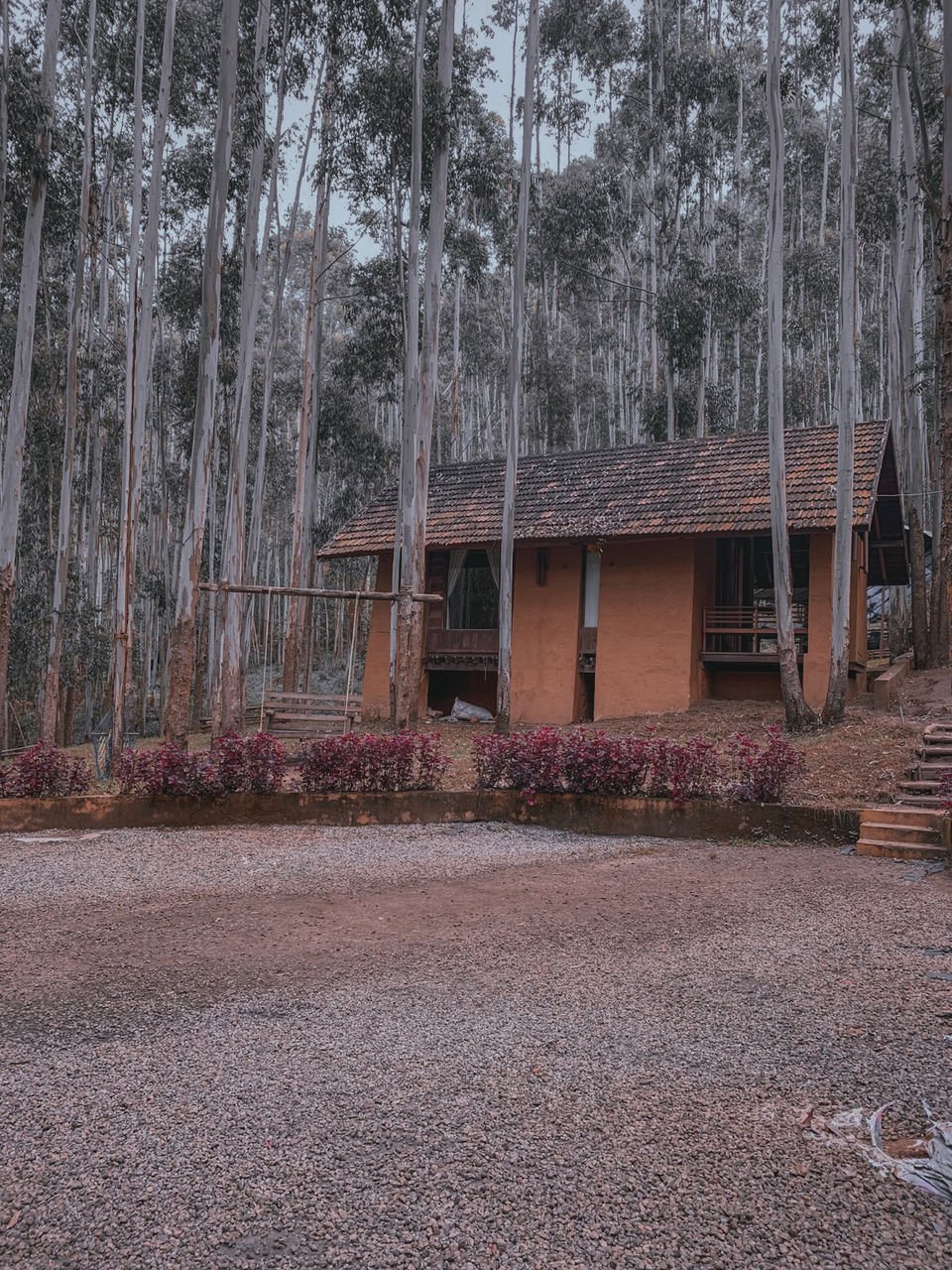 Photo of Wherever You Put Your Feet Is Home. Vattavada Is Home by Cloudwalker!