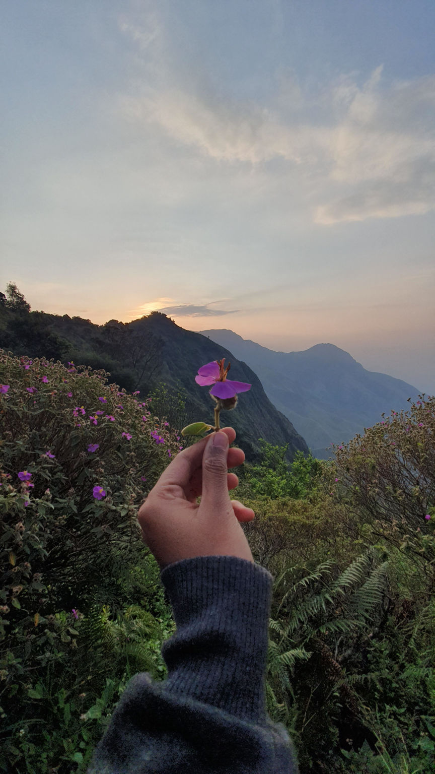 Photo of Cloudfarm Camping, Yella patti, Munnar, Kerala, India by Cloudwalker!