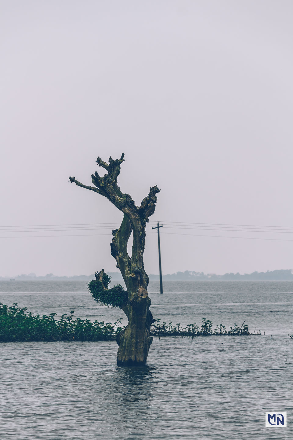 Photo of Tangua Haor(Sunamganj, Bangladesh) 1/8 by Nazmul Hossain