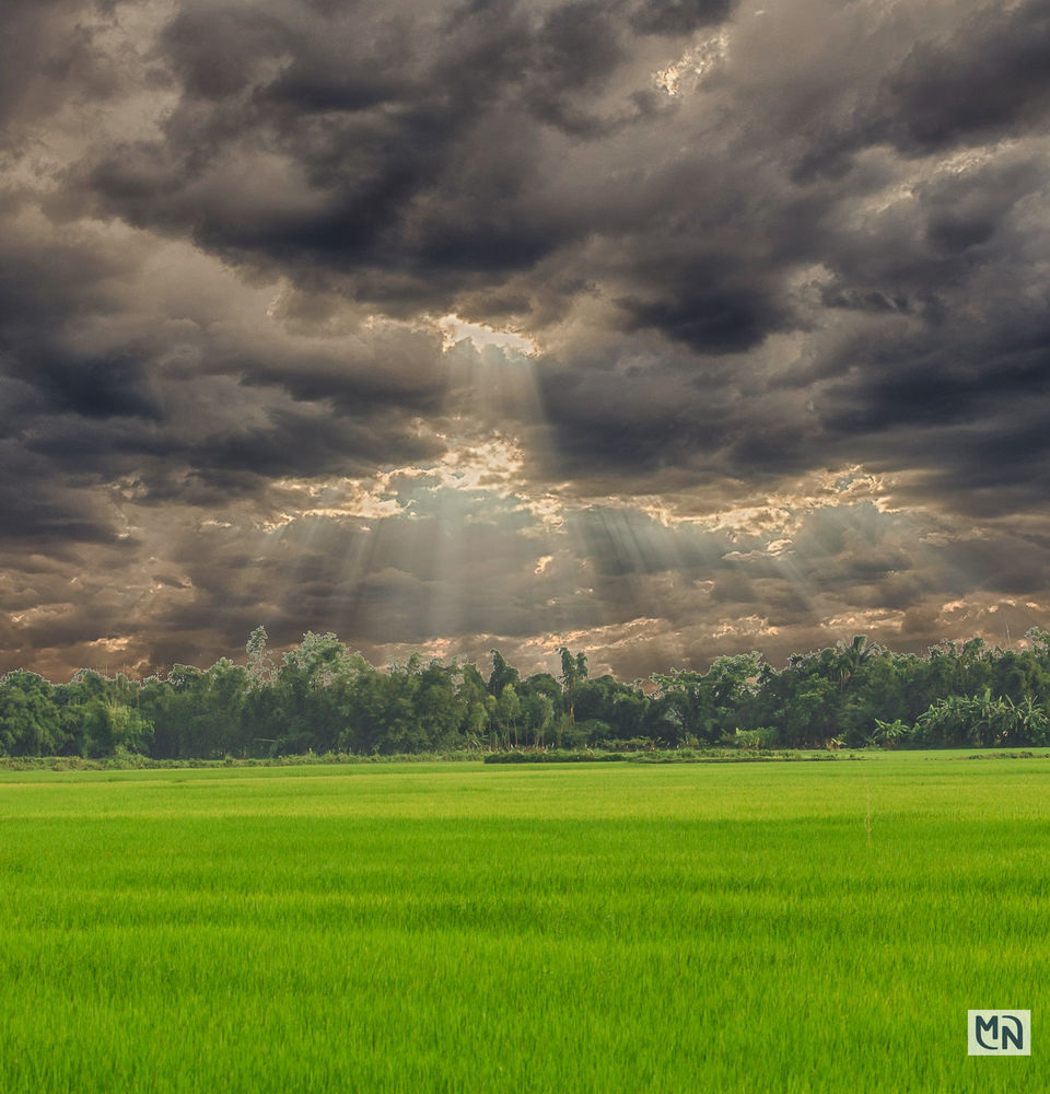 Photo of Tangua Haor(Sunamganj, Bangladesh) 5/8 by Nazmul Hossain