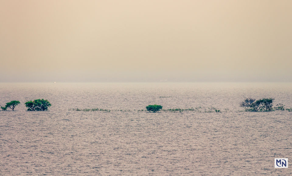 Photo of Tangua Haor(Sunamganj, Bangladesh) 3/8 by Nazmul Hossain