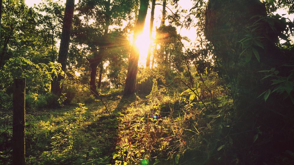Photo of Few Himalayan Days – Ranikhet, Kausani, and Nainital 2/17 by Shivendra Singh