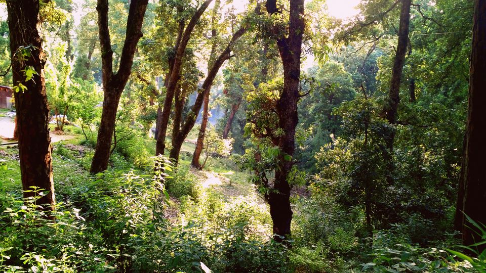 Photo of Few Himalayan Days – Ranikhet, Kausani, and Nainital 3/17 by Shivendra Singh