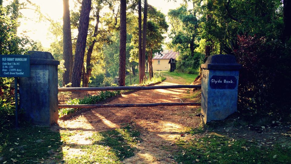 Photo of Few Himalayan Days – Ranikhet, Kausani, and Nainital 4/17 by Shivendra Singh