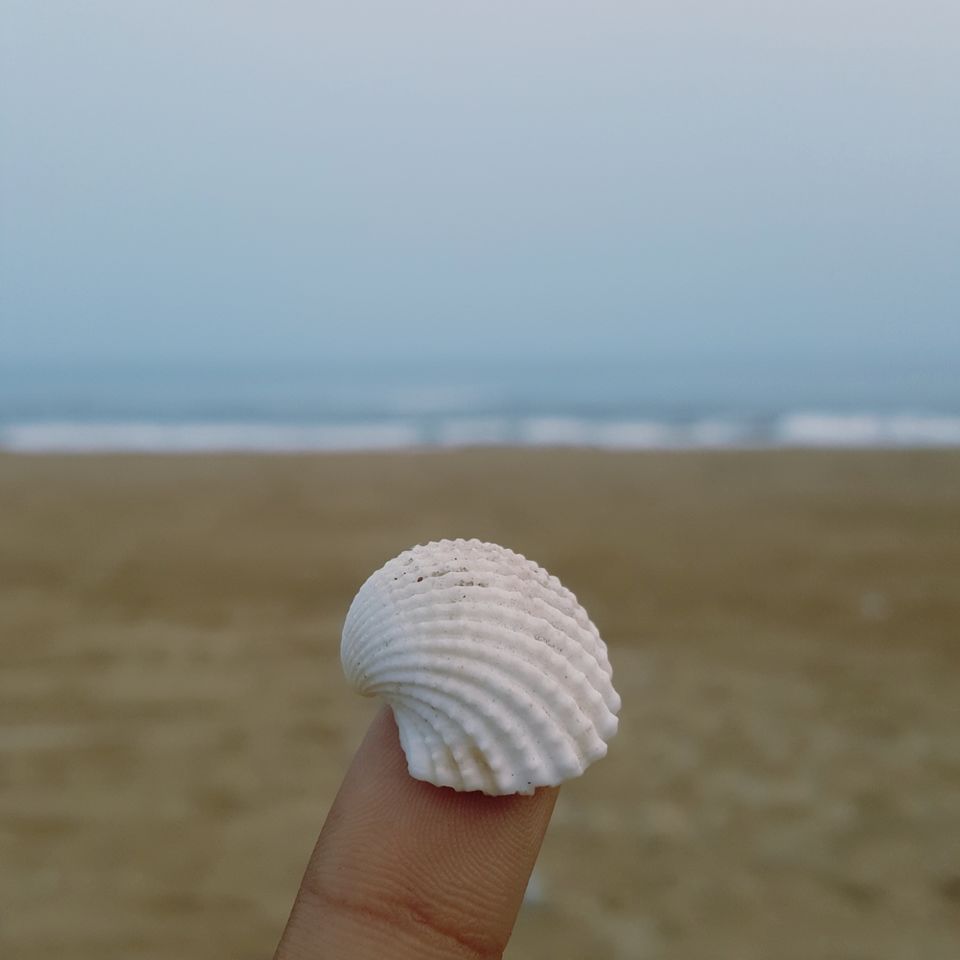 Photo of Golden Beach, Odisha by Mohit Choudhary
