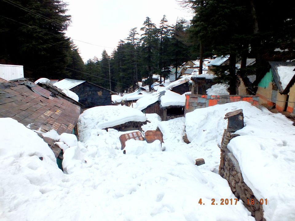 Photo of Lakkadmandi, Himachal Pradesh, India by Sahil Gulati