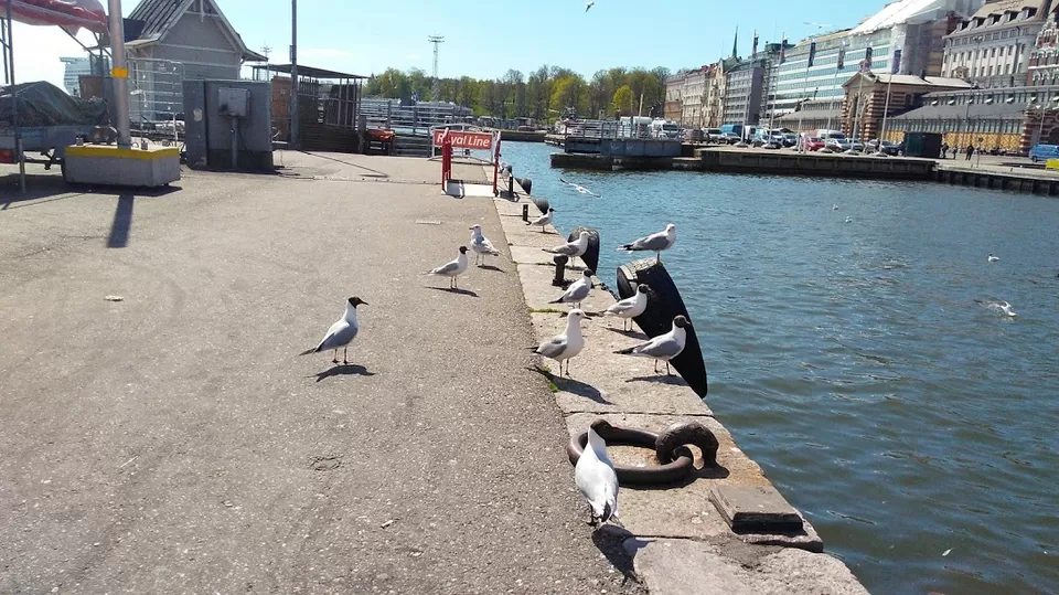 Photo of Helsinki, Finland by Kaushal