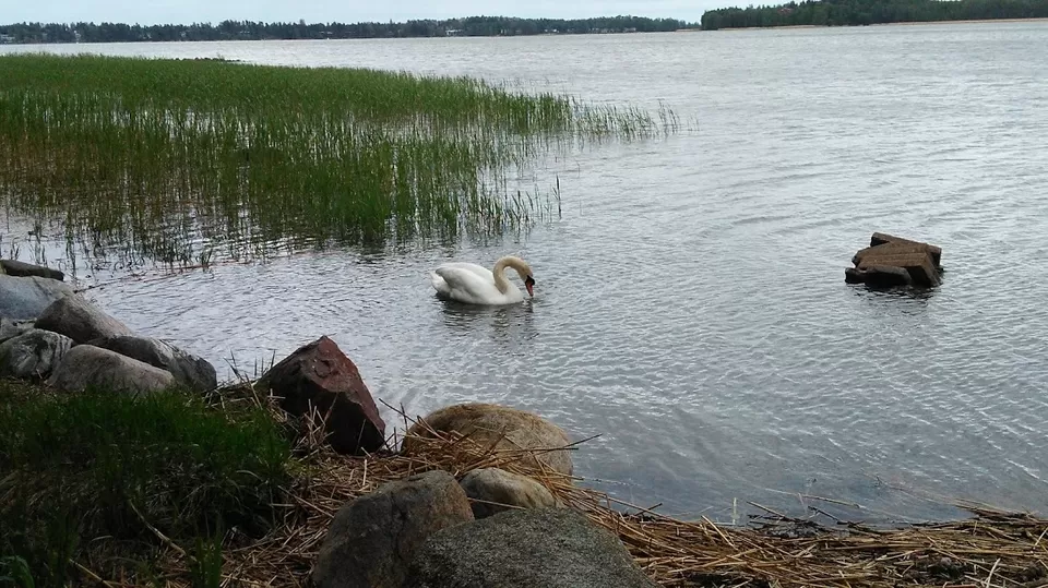 Photo of Espoo, Finland by Kaushal