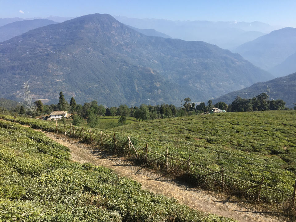 Photo of Honeymoon Destination- Borong in South Sikkim by Soumyajit Chatterjee