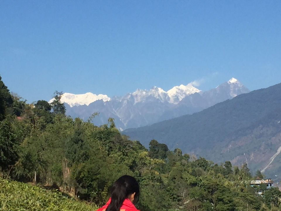 Photo of Honeymoon Destination- Borong in South Sikkim by Soumyajit Chatterjee