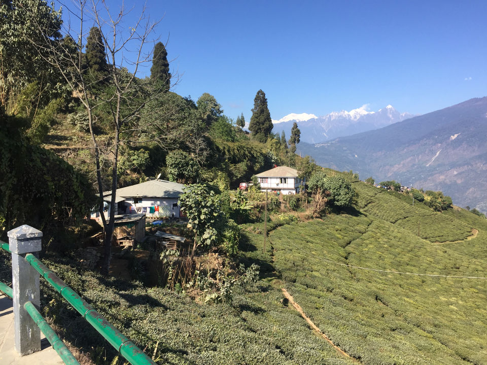 Photo of Honeymoon Destination- Borong in South Sikkim by Soumyajit Chatterjee