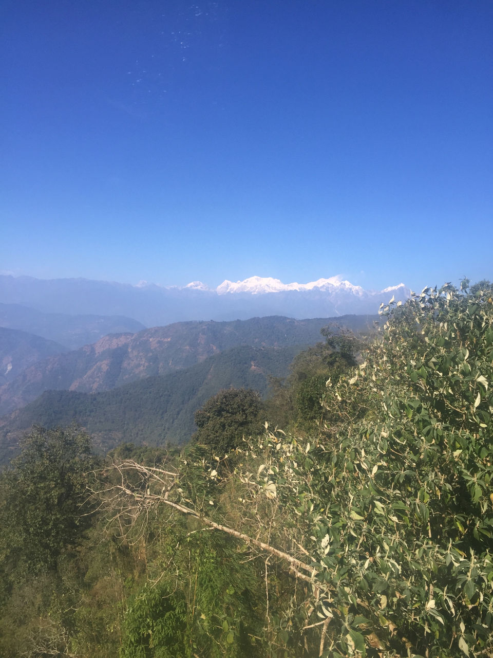 Photo of Honeymoon Destination- Borong in South Sikkim by Soumyajit Chatterjee