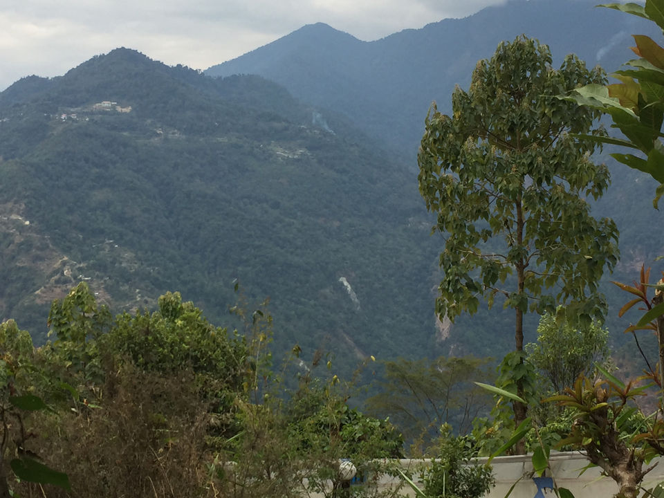 Photo of Honeymoon Destination- Borong in South Sikkim by Soumyajit Chatterjee