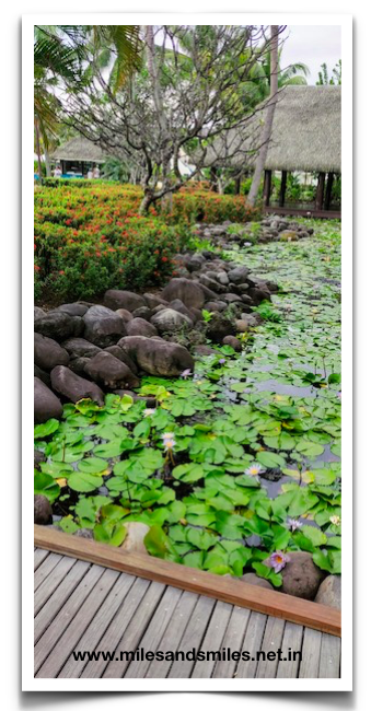 Photo of Bula Fiji : Vacation on an island paradise #luxurygetaway 7/16 by Anju