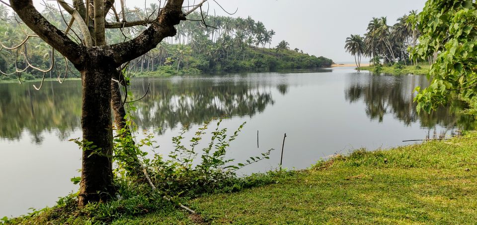 Photo of A tranquil oasis in God’s Own Country: Taj Bekal #summerescape 2/17 by Anju