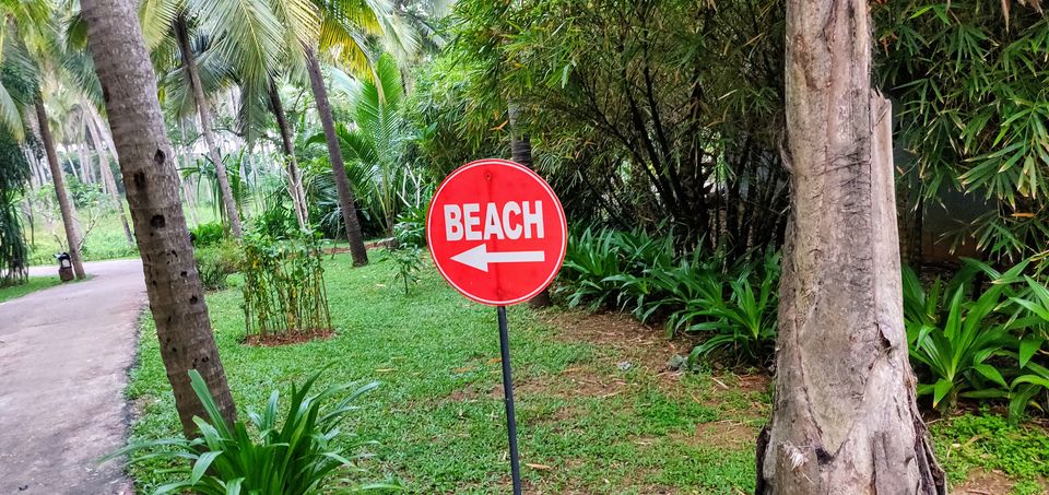 Photo of A tranquil oasis in God’s Own Country: Taj Bekal #summerescape 6/17 by Anju